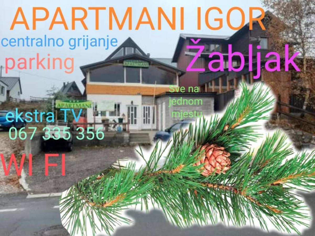 Apartments Igor Žabljak Exteriér fotografie